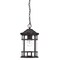 Homeroots 15.25 x 8.75 x 8.75 in. Vista II 1-Light Black Coral Hanging Light 397975 - alternate 4